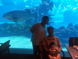 Miaomiao, her father and Max in front of the aquarium with fish at the Aqua restaurant at the InterContinental Sanya Haitang Bay Resort