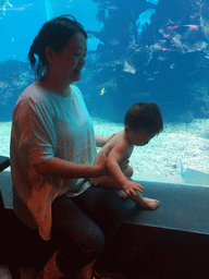 Miaomiao and Max in front of the aquarium with fish at the Aqua restaurant at the InterContinental Sanya Haitang Bay Resort