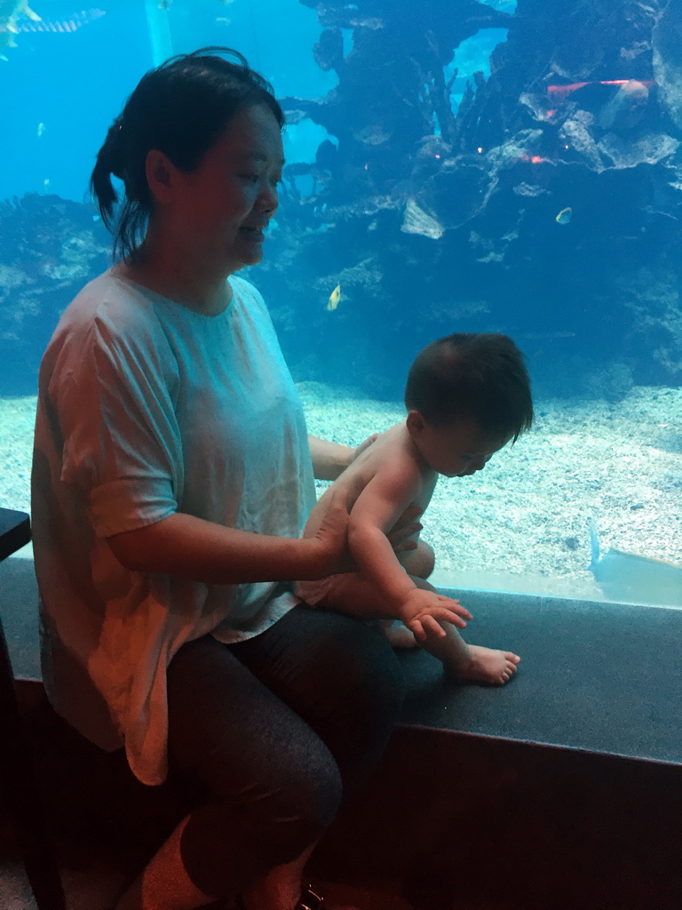 Miaomiao and Max in front of the aquarium with fish at the Aqua restaurant at the InterContinental Sanya Haitang Bay Resort