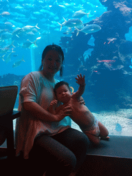 Miaomiao and Max in front of the aquarium with fish at the Aqua restaurant at the InterContinental Sanya Haitang Bay Resort