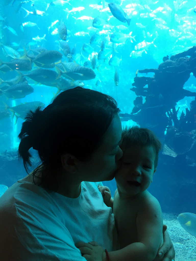 Miaomiao and Max in front of the aquarium with fish at the Aqua restaurant at the InterContinental Sanya Haitang Bay Resort