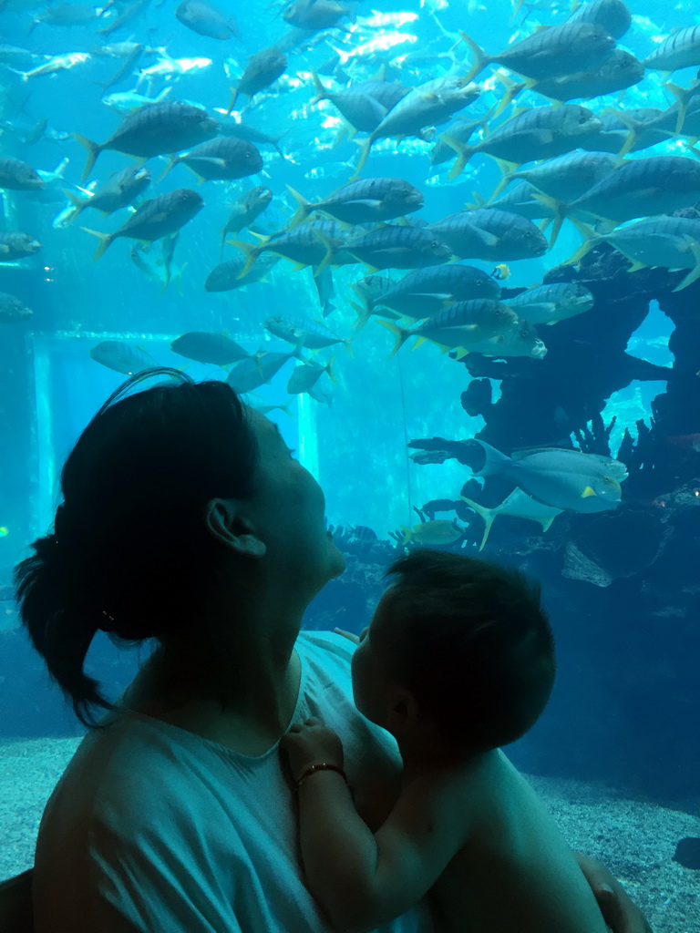 Miaomiao and Max in front of the aquarium with fish at the Aqua restaurant at the InterContinental Sanya Haitang Bay Resort