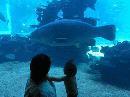 Miaomiao and Max in front of the aquarium with fish at the Aqua restaurant at the InterContinental Sanya Haitang Bay Resort