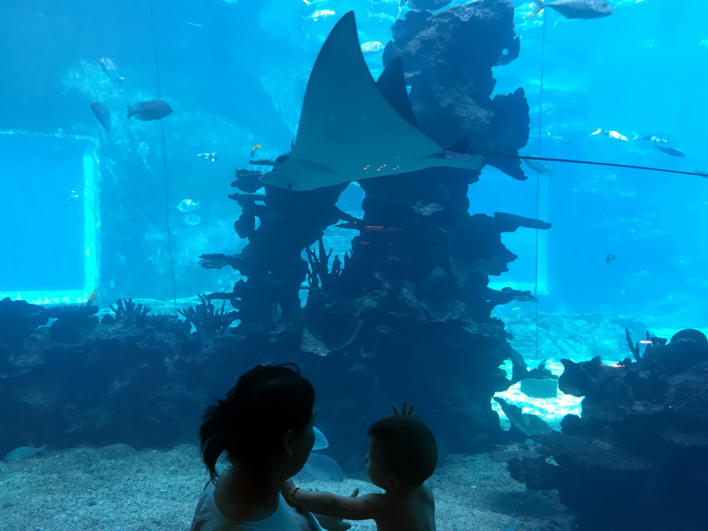 Miaomiao and Max in front of the aquarium with a stingray and fish at the Aqua restaurant at the InterContinental Sanya Haitang Bay Resort