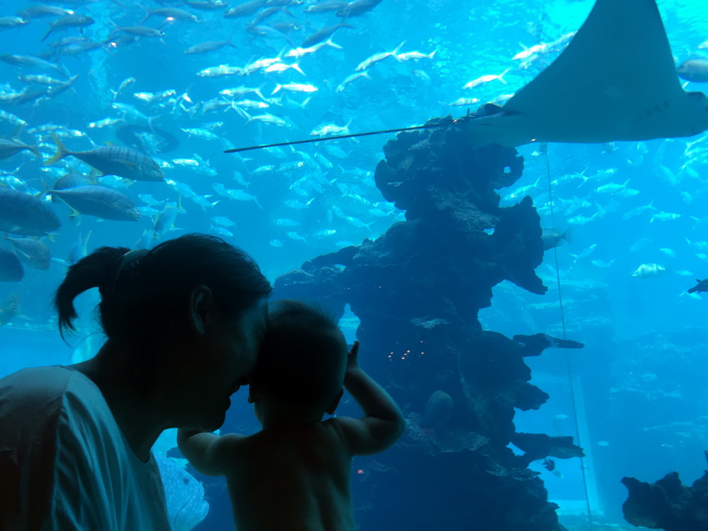 Miaomiao and Max in front of the aquarium with a stingray and fish at the Aqua restaurant at the InterContinental Sanya Haitang Bay Resort