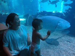 Miaomiao and Max in front of the aquarium with a stingray and fish at the Aqua restaurant at the InterContinental Sanya Haitang Bay Resort