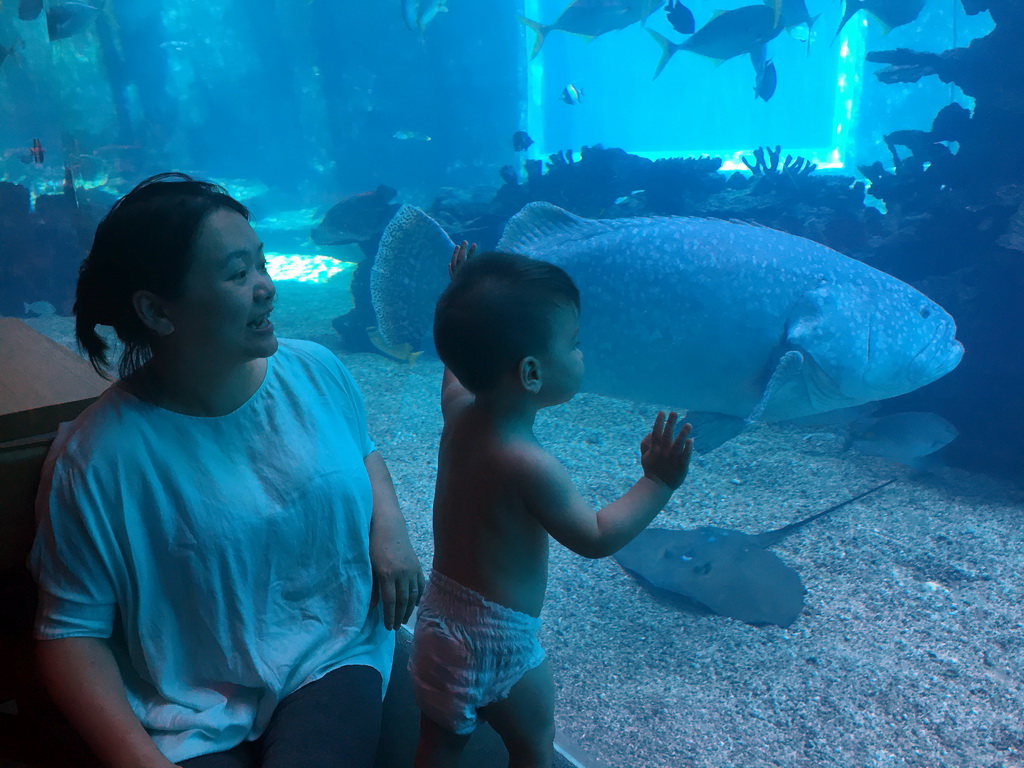 Miaomiao and Max in front of the aquarium with a stingray and fish at the Aqua restaurant at the InterContinental Sanya Haitang Bay Resort