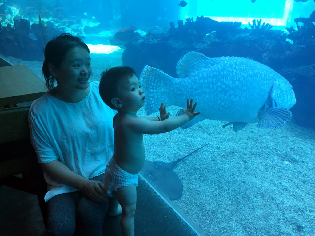 Miaomiao and Max in front of the aquarium with a stingray and fish at the Aqua restaurant at the InterContinental Sanya Haitang Bay Resort