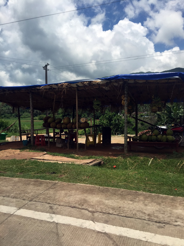 Coconut stall along the 223 National Road near Xiaoguancun, viewed from the car