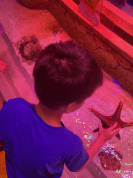 sanya_4_065 - 275 kb - 768x1024 -