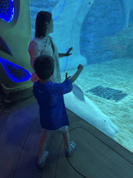 sanya_4_337 - 239 kb - 768x1024 -