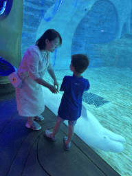 sanya_4_338 - 251 kb - 768x1024 -