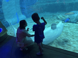 sanya_4_339 - 251 kb - 1024x768 -