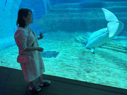 sanya_4_340 - 314 kb - 1024x768 -