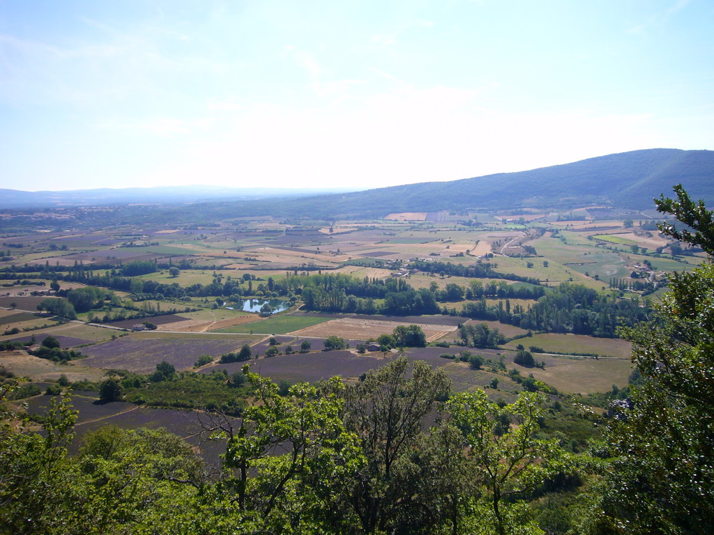 Lavender fields near Sault in the Provence