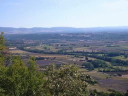 Lavender fields near Sault in the Provence