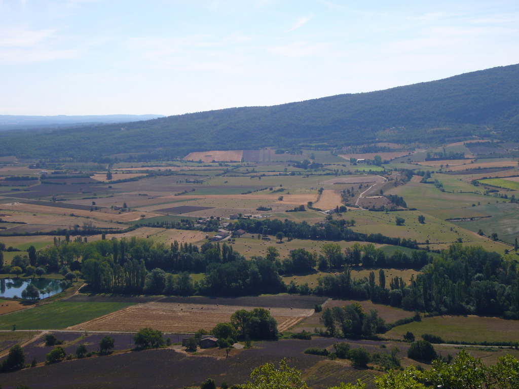 Countryside near Sault in the Provence