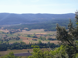 Countryside near Sault in the Provence