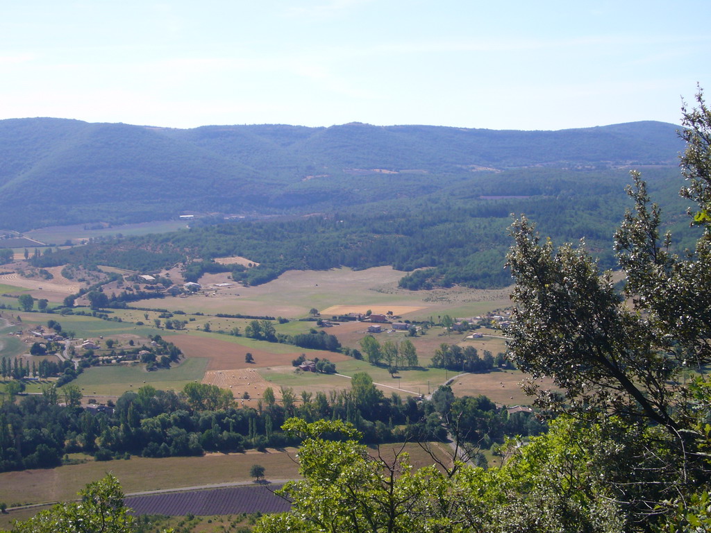 Countryside near Sault in the Provence