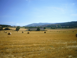 Hay fields near Sault in the Provence, from tour bus