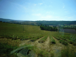 Countryside near Sault in the Provence, from tour bus