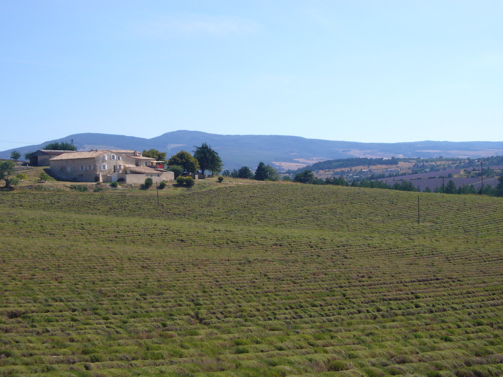 Countryside near Sault