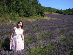 Miaomiao in a lavender field