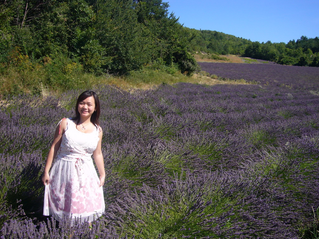 Miaomiao in a lavender field