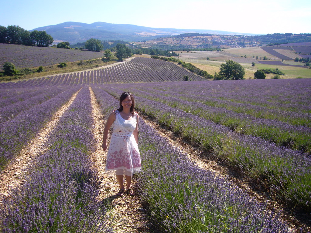 Miaomiao in a Lavender field