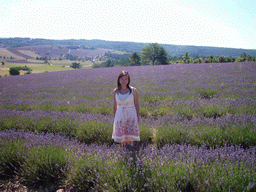 Miaomiao in a Lavender field