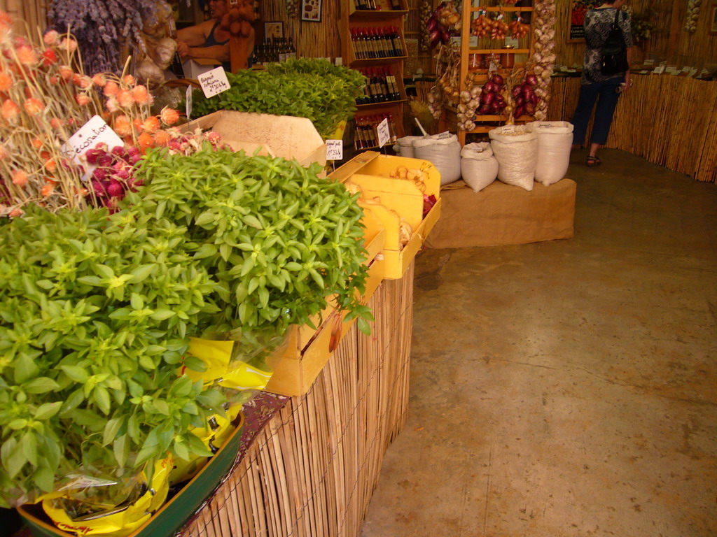 Plants in the Lavender shop