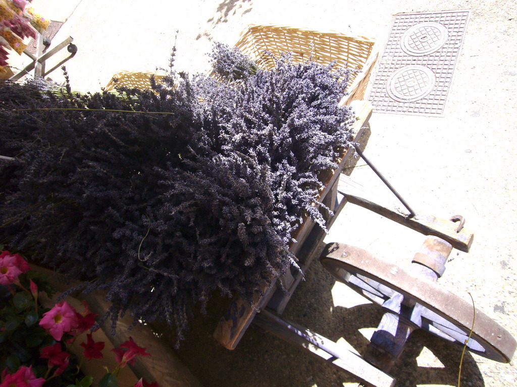 Wheel cart with Lavender, outside the Lavender shop