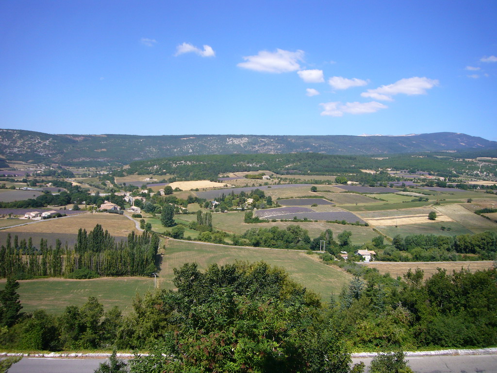 Countryside near Sault in the Provence