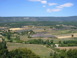 Countryside near Sault in the Provence