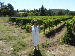 Miaomiao in a wine field along the Route de Mormoiron road near Mazan