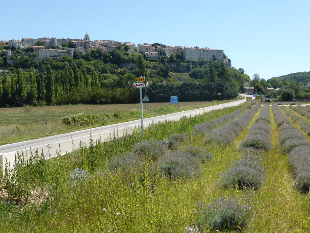 Lavender field and the west side of the town