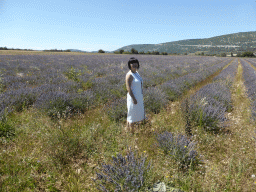 Miaomiao in a lavender field at the west side of the town