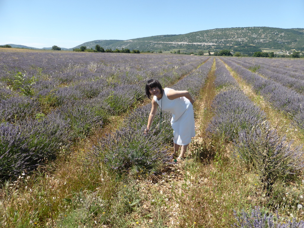 Miaomiao in a lavender field at the west side of the town