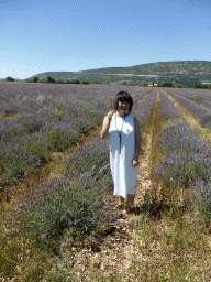 Miaomiao in a lavender field at the west side of the town