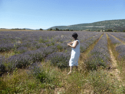 Miaomiao in a lavender field at the west side of the town