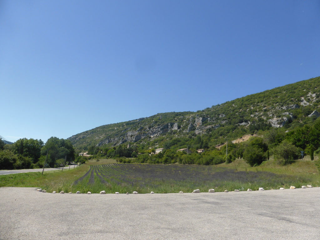 Lavender field on the north side of the town of Monieux