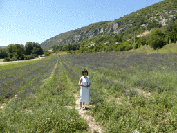 Miaomiao at a lavender field on the north side of the town of Monieux