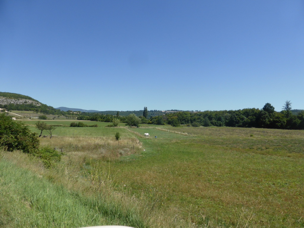 Grassland with a horse near the town of La Serène, viewed from our rental car