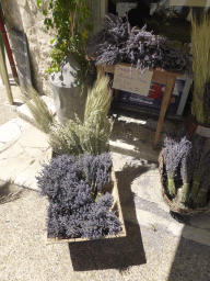 Lavender in front of the La Loubatière shop at the Place du Marché square