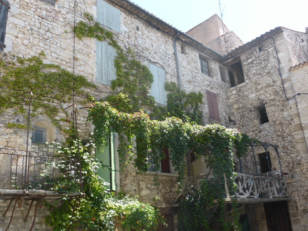 Houses with creepers at the Place du Château square