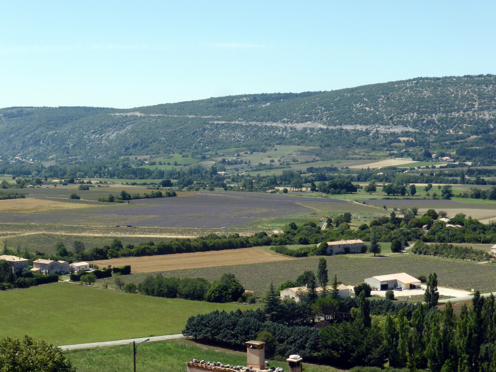 Lavander fields to the southwest of the town, viewed from the La Promenade square