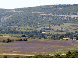Lavander fields to the southwest of the town, viewed from the La Promenade square