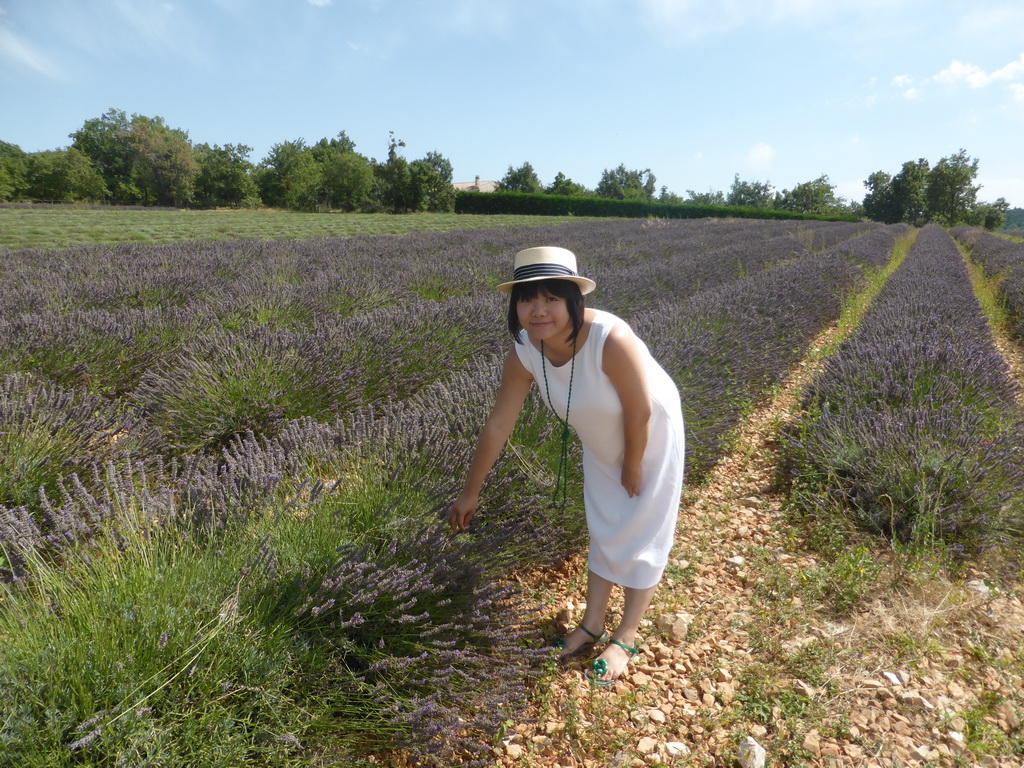 Miaomiao in a lavender field along the D943 road to Gordes