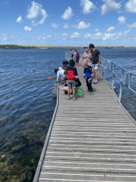 People catching crabs at the Duikplaats `t Koepeltje