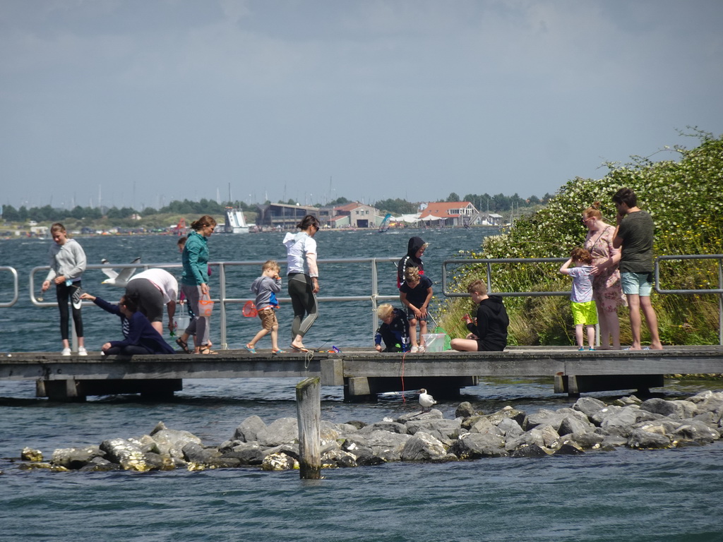 Miaomiao and our friends catching crabs at the Duikplaats `t Koepeltje, viewed from the West Repart beach